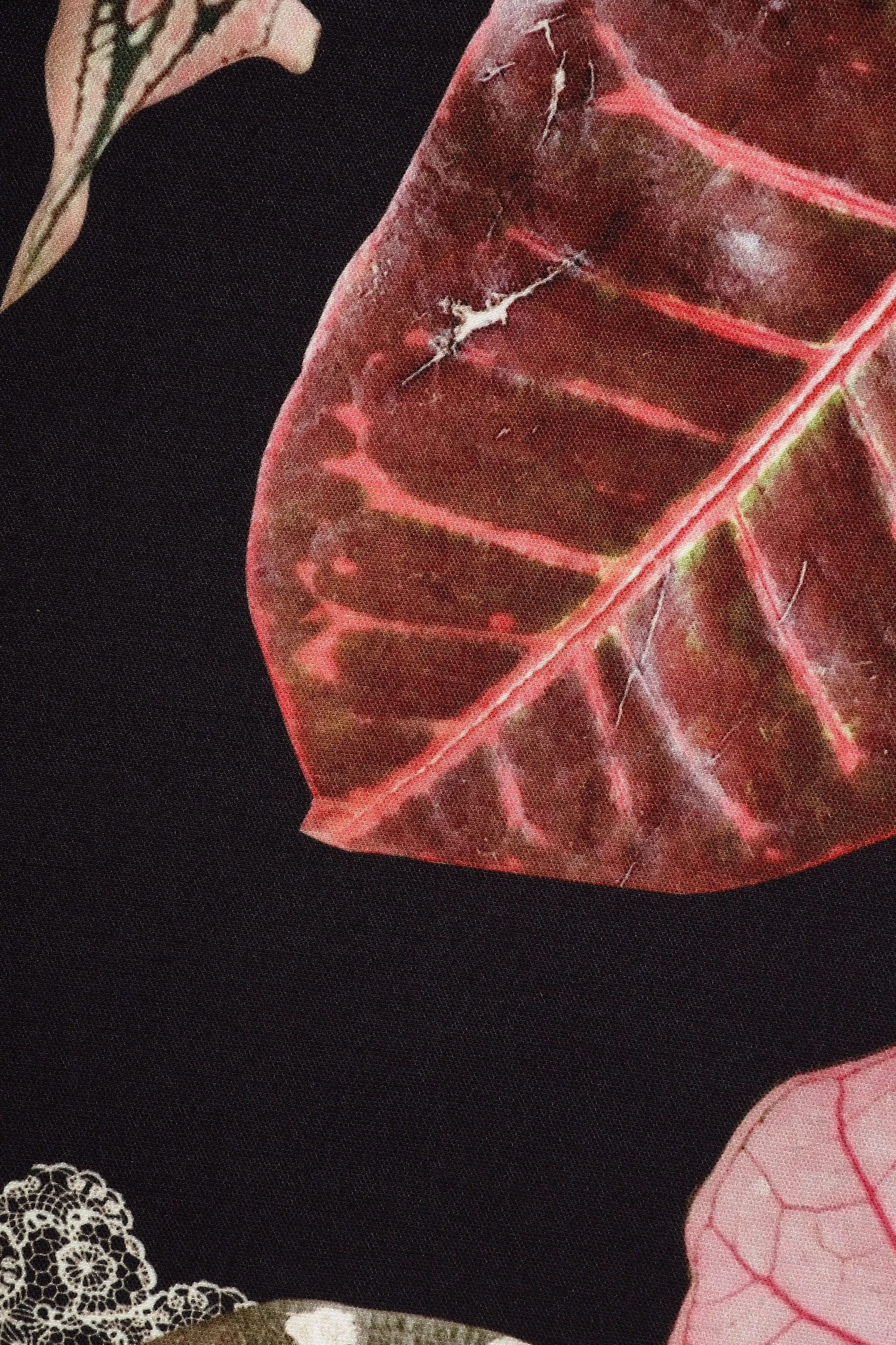 BotanEye Rug