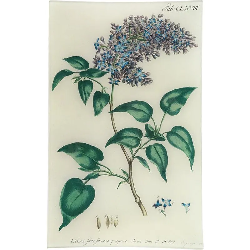 John Derian 'Lilac' 10 x 16" Rectangle Tray
