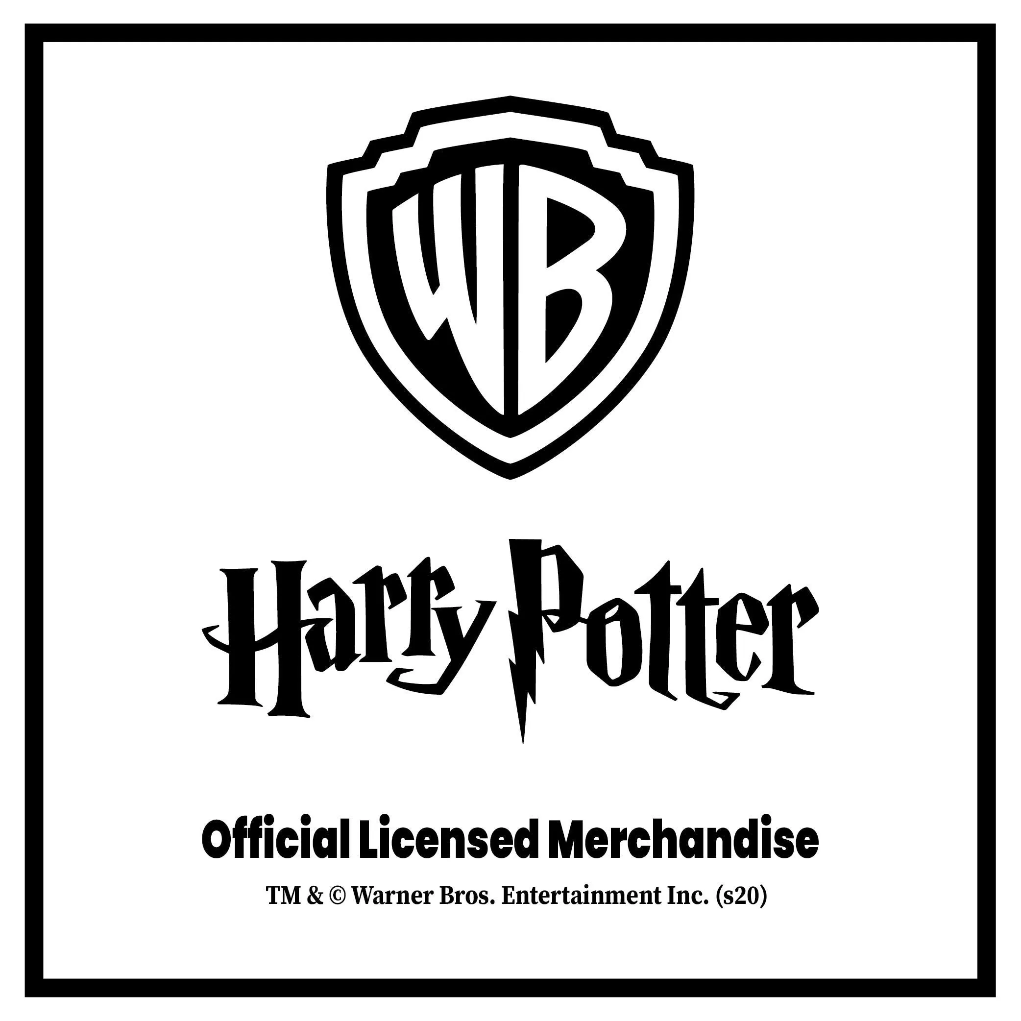 MCSID RAZZ Official Harry Potter Licensed by Warner Bros, USA Birthday Plastic Wall Clock, Grey