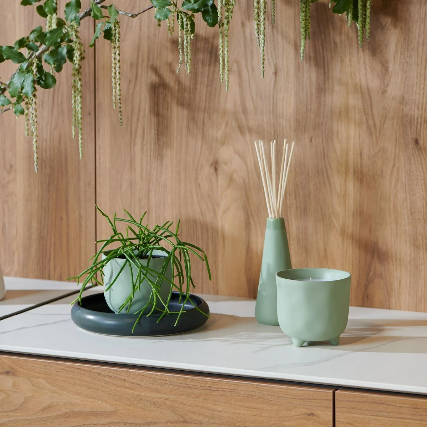 Myrtle & Moss - Botanical Diffuser - Forest - Green