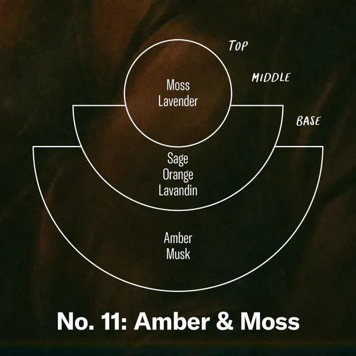 PF Candle - Reed Diffuser | Amber & Moss